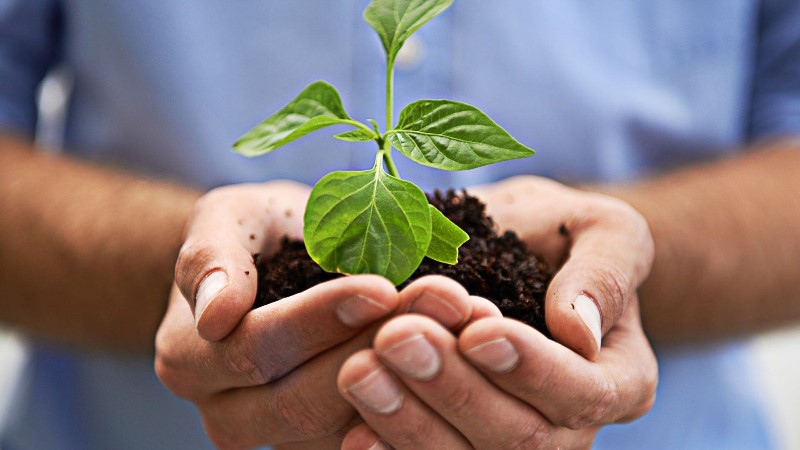 La Empresa Sostenible: Un Camino Hacia el Éxito y un Futuro Mejor