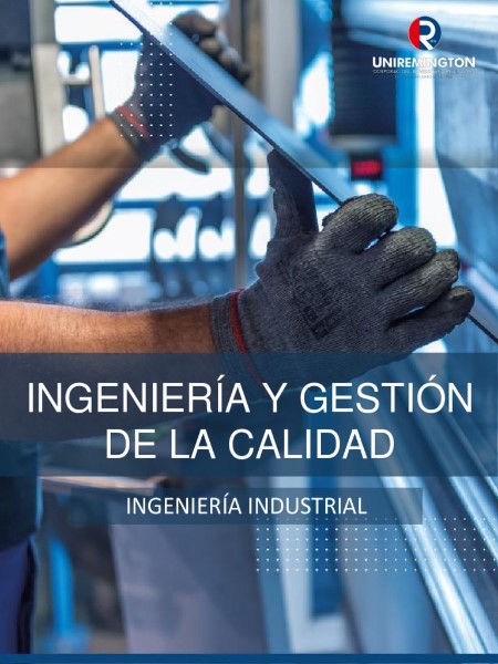 Ingeniería en Calidad: El Arte de Crear Productos y Servicios Impecables