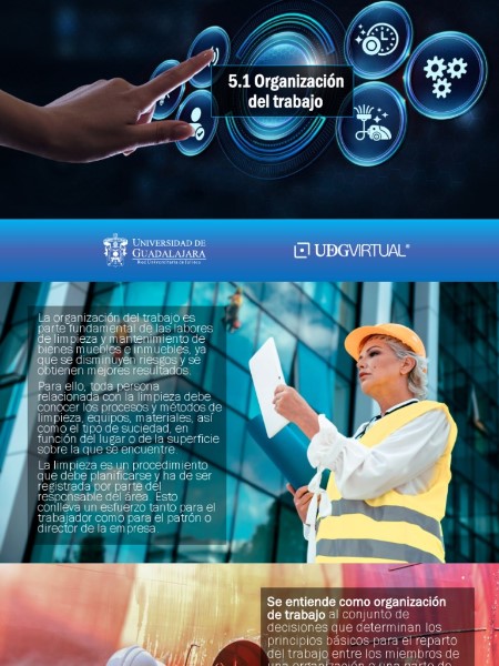 La Organización del Trabajo: El Motor Silencioso del Éxito Empresarial