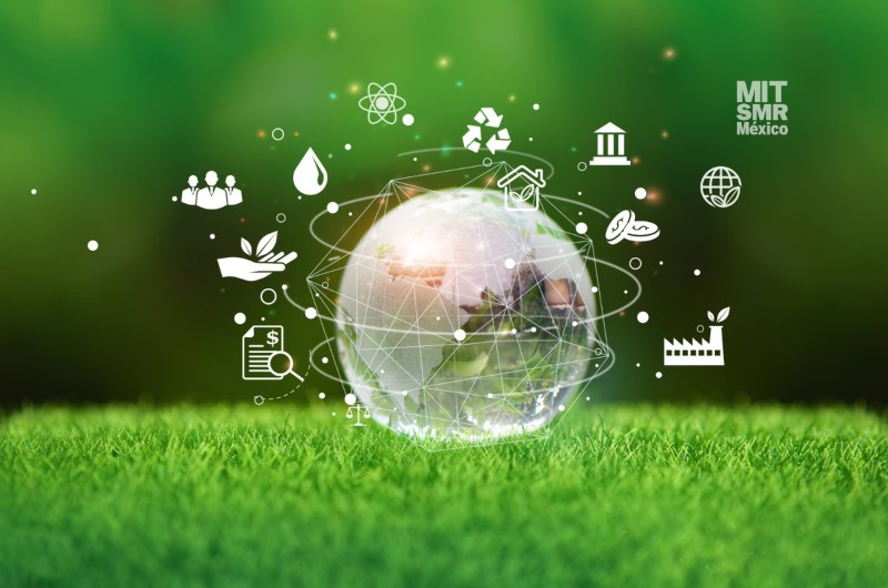 Un Compromiso con el Futuro: La Vía de la Sustentabilidad Empresarial